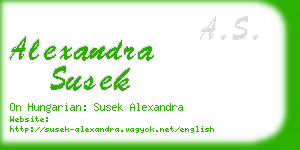 alexandra susek business card